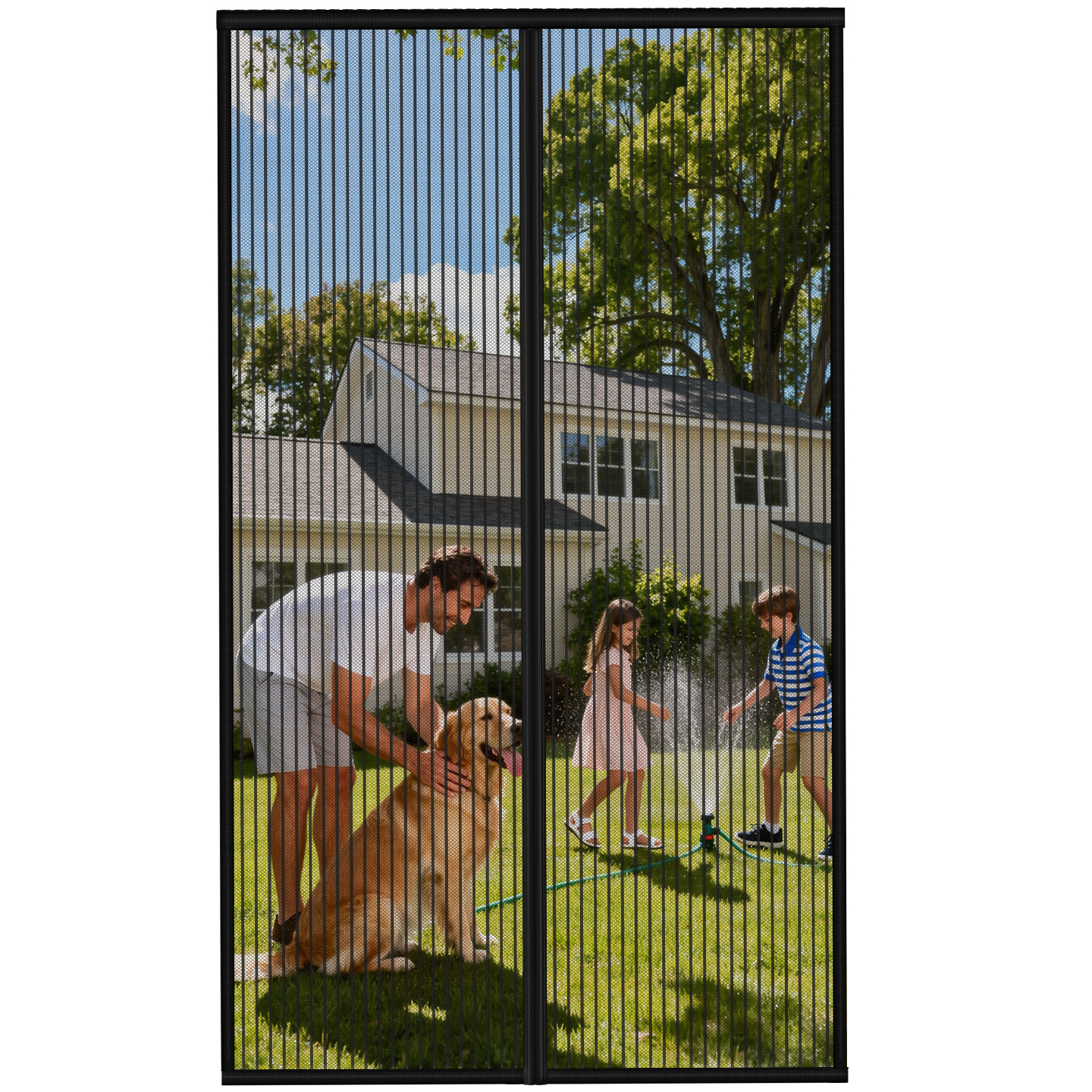 Magnetic Screen 
